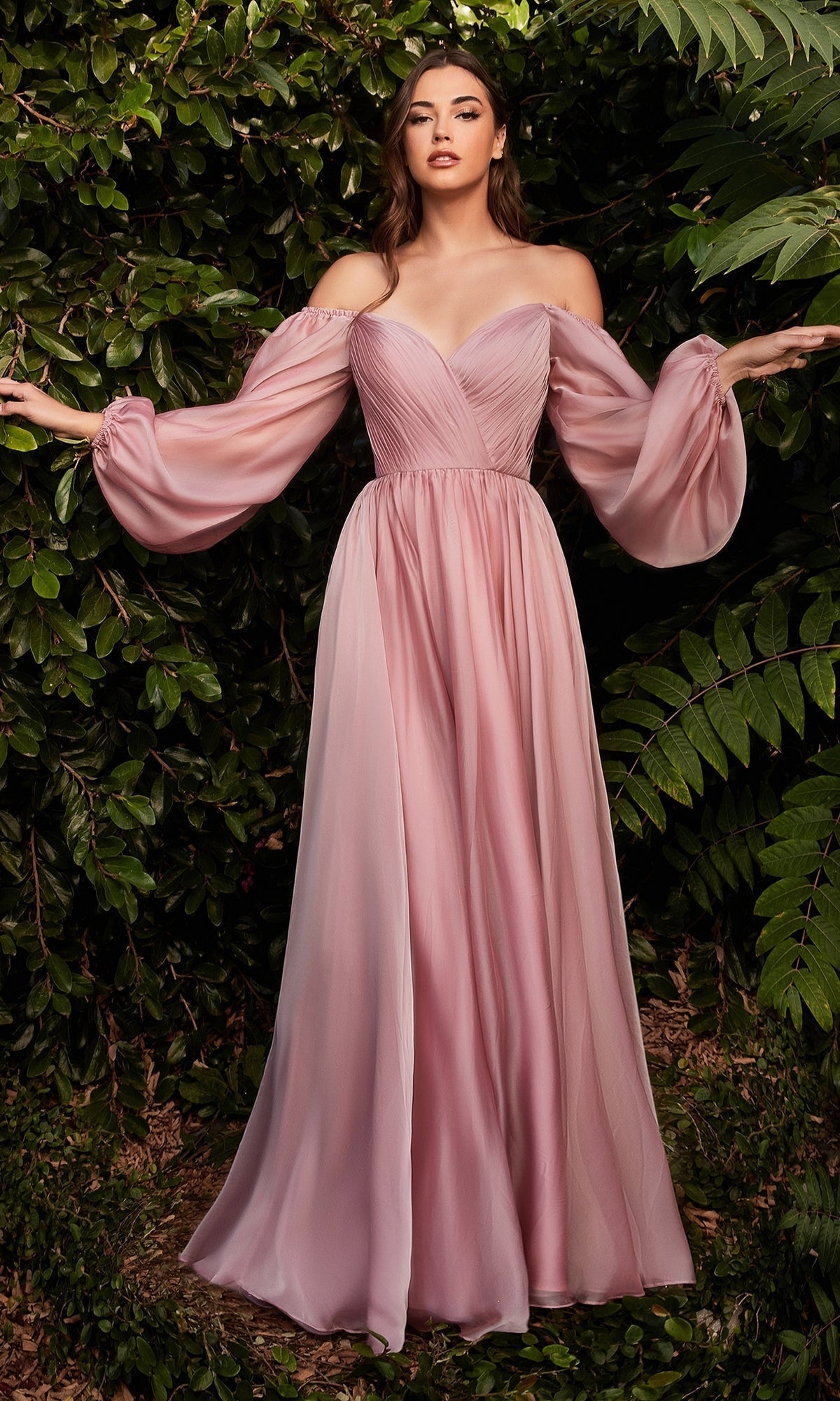 Ladivine Long Formal Dress cd243