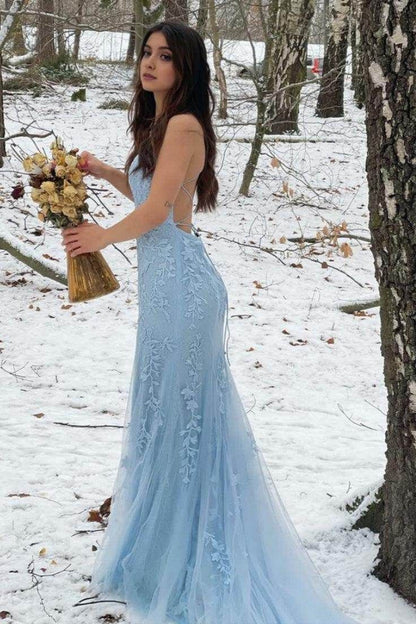 Elegant Sheath-Column Floor Length Tulle Backless Long Prom Dress Party Dresses Online AB1689