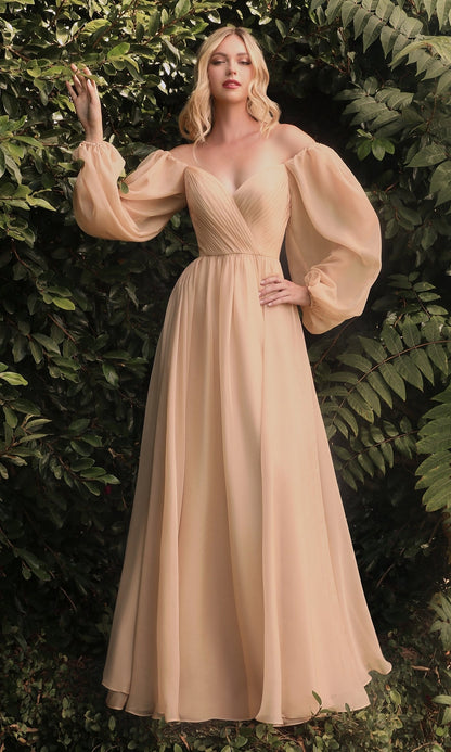 Ladivine Long Formal Dress cd243