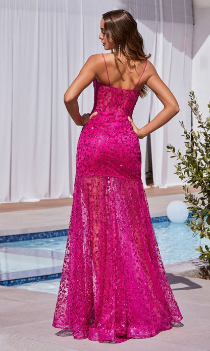 Ladivine Long Formal Dress c155